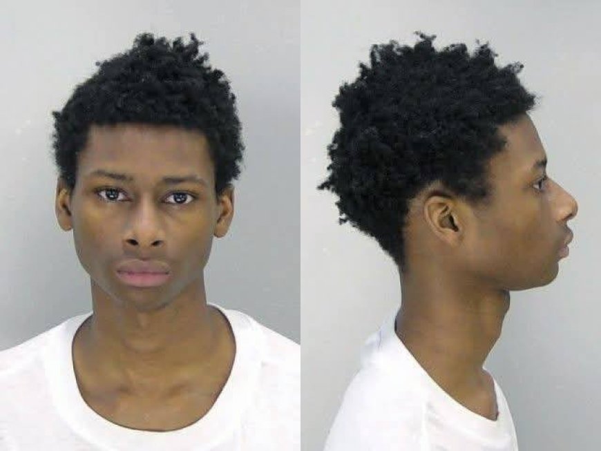 17 Year Old Boy Arrested in Georgia for Flogging 11 Year Old Sister