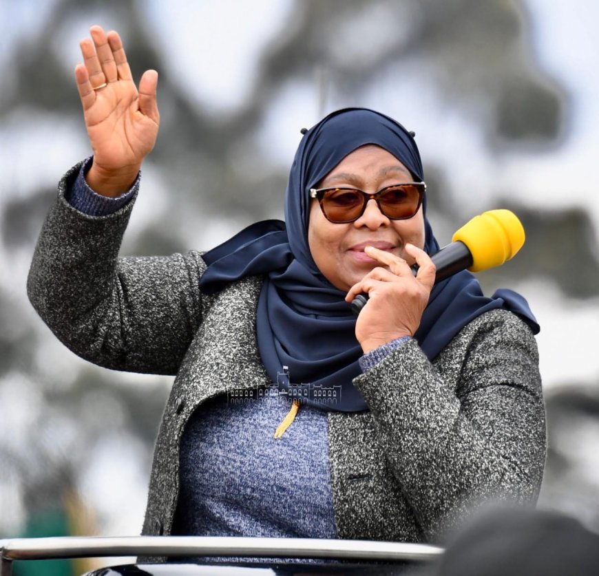 Tanzania Restricts Access to X Platform