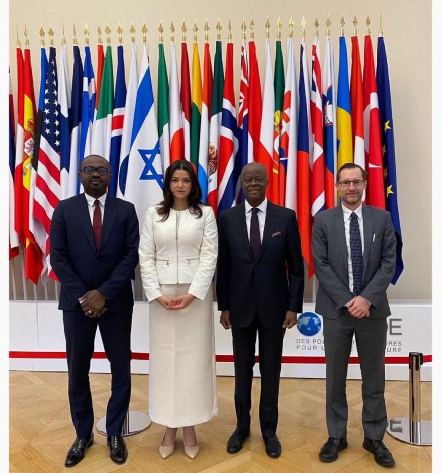 Nigeria Officials Meet FATF in Paris