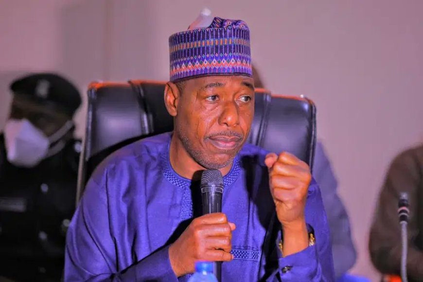Boko Haram Deploying Drones in Attacks, Zulum Warns Federal Government