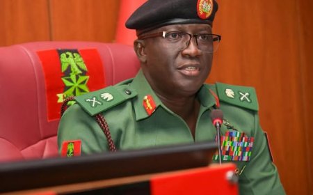 Nigerian Army Announces Major Operation Success, Arrests 20 Suspected Terrorists and Rescues 17 Victims