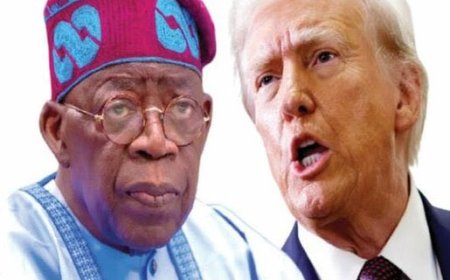 Donald Trump Reportedly Labels Nigeria a “Disgraced Country”