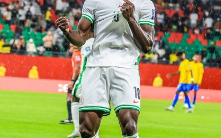 NIGERIA ADVANCE TO THE FINAL ROUND OF THE AFRICAN WORLD CUP PLAY OFFS