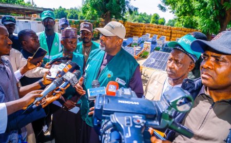 FG to Launch Special Database to Track Nigerian Farmers and Their Produce