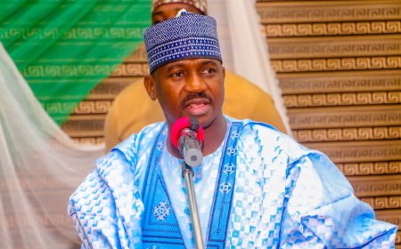 Sokoto State Confirms Dengue Fever Outbreak with Eight Verified Cases