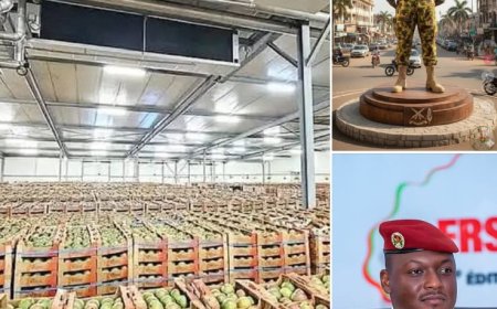 Burkina Faso Ranks First in Africa for Mango Exports, Seventh Globally