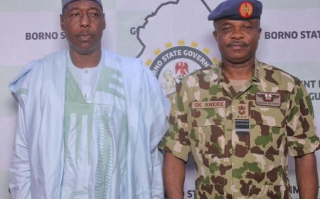 Gov. Zulum Calls on Air Chief to Lead Major Anti Boko Haram Operations in Lake Chad