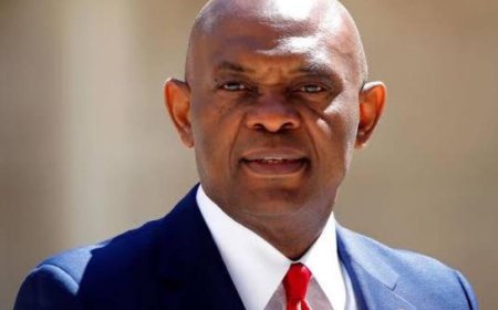Tony Elumelu Says Entrepreneurs, Not Foreign Aid, Will Drive Nigeria’s Growth