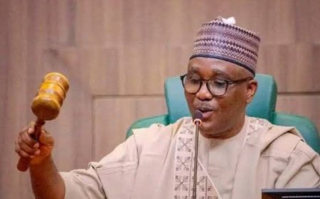 Bill to Reduce Age Requirement for Senate and Governorship Positions Clears Second Reading in House of Rep