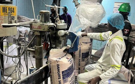 Dangote Sugar Launches $700 Million Drive to Boost Domestic Production