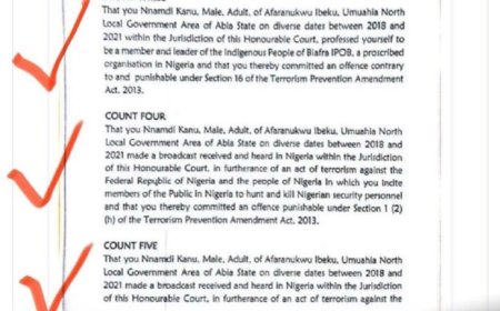 Nnamdi Kanu 15 charges against him