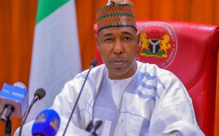 Governor Zulum Declares Statewide Fasting and Prayers