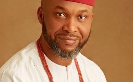 Osita Chidoka Urges IPOB to Renounce Violence