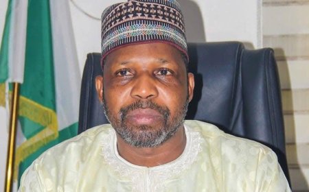 Wike Suspends FCT Education Secretary