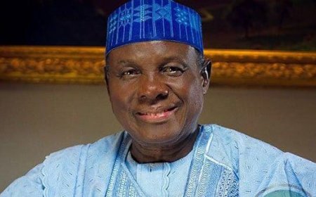 Jerry Gana to Celebrate 80th Birthday With Book Launch in Abuja