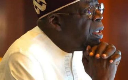 Tinubu Urges Herders to Embrace Livestock Ministry, End Open Grazing and Surrender Illegal Weapons
