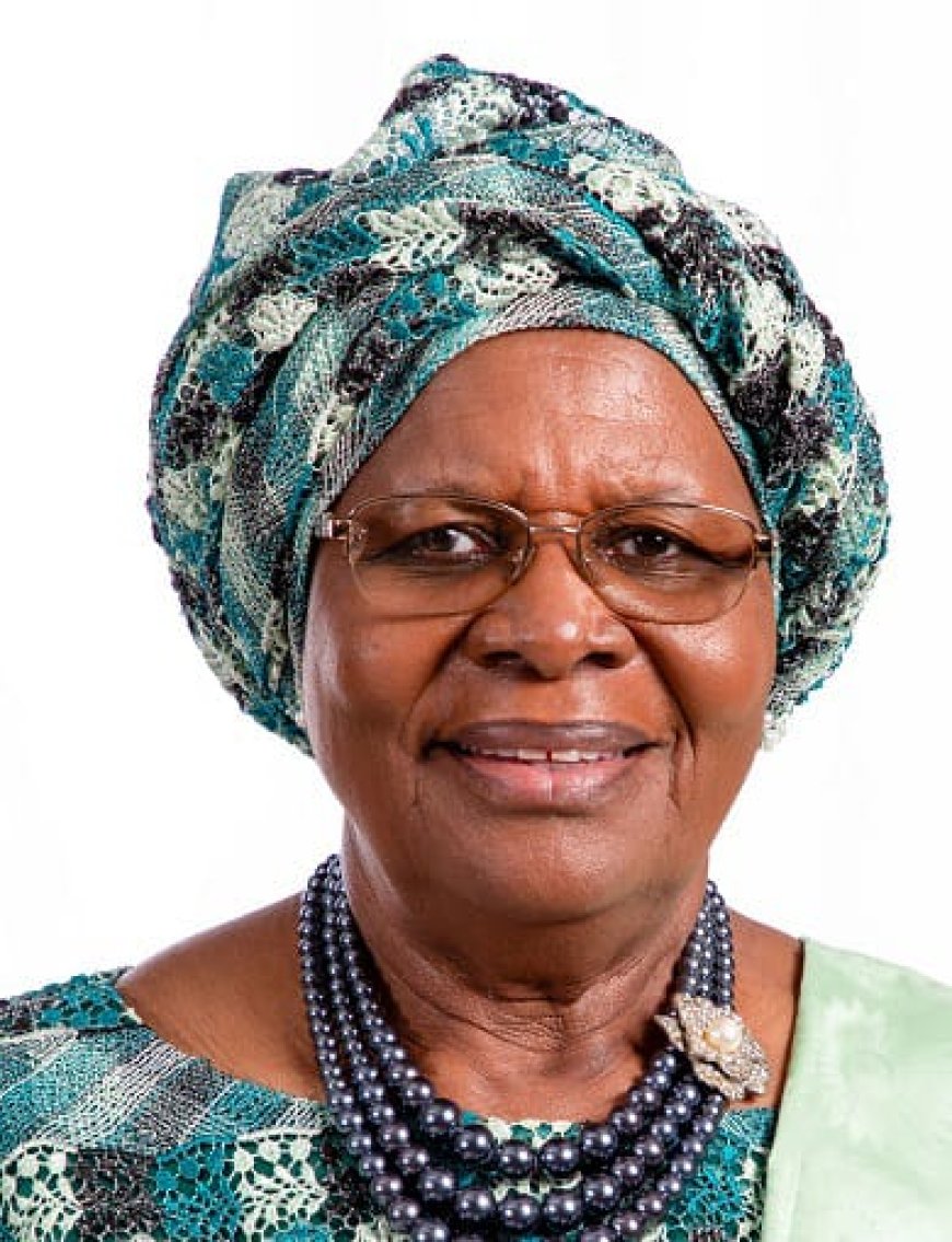 Namibia Sets Record with $750 Million Debt Repayment