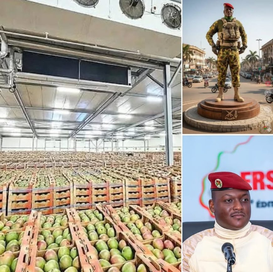 Burkina Faso Ranks First in Africa for Mango Exports, Seventh Globally