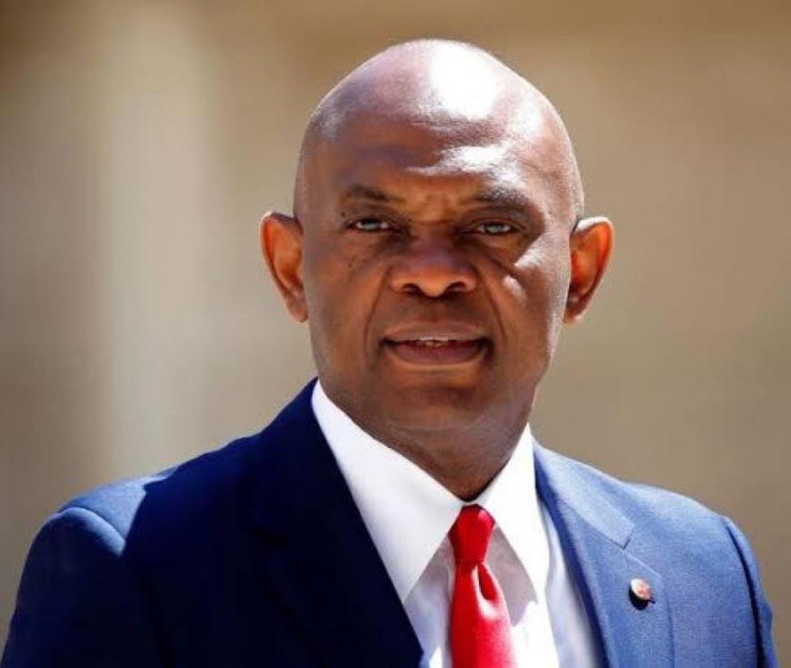 Tony Elumelu Says Entrepreneurs, Not Foreign Aid, Will Drive Nigeria’s Growth