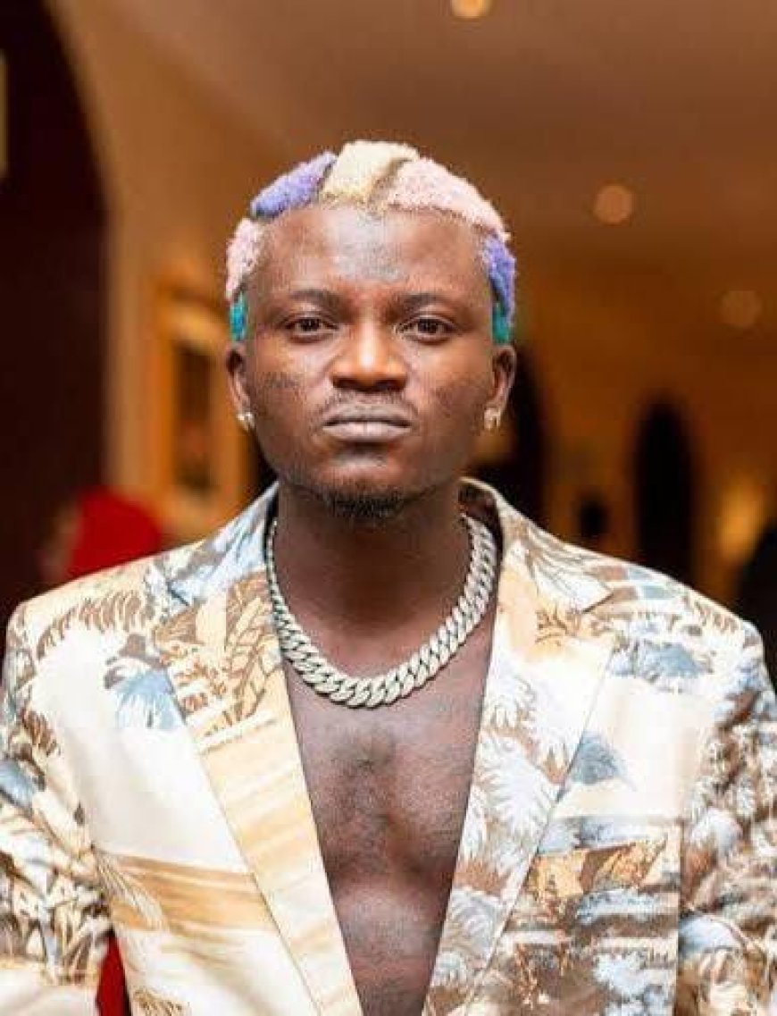 Nigerian singer Portable has weighed in on the viral confrontation between VeryDarkMan (VDM) and Mr Jollo