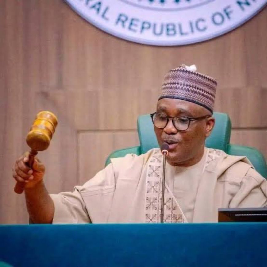 Bill to Reduce Age Requirement for Senate and Governorship Positions Clears Second Reading in House of Rep