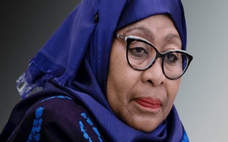 EU Moves to Halt €156 Million in Aid to Tanzania