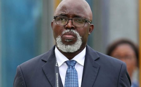 Former NFF President Amaju Pinnick Faces New Allegations of Sports Related Fraud