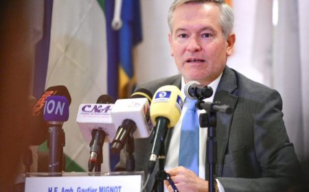 EU Envoy: Nigeria Posts $10bn Trade Surplus With European Union in 2025