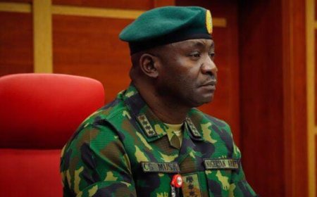 Senate Pressures Defence Minister Musa Over Security Crisis
