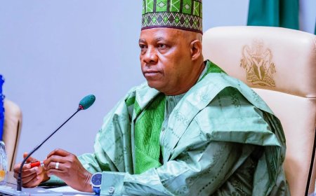Shettima says If Nigeria Fails, the Entire Black Race Has Failed