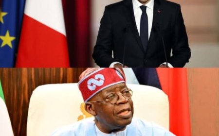 FIRS, France Partner to Modernise Nigeria’s Tax System