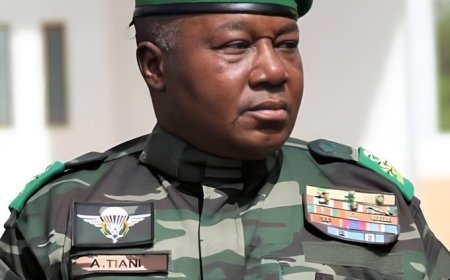 Niger Republic Imposes Total Visa and Entry Ban on U.S. Citizens