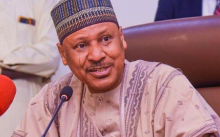 FG Ready to Protect Nigerians From Terrorists, Criminals — Mohammed Idris