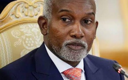 Presidency Denies Reports of Change in Tinubu’s Chief of Staff