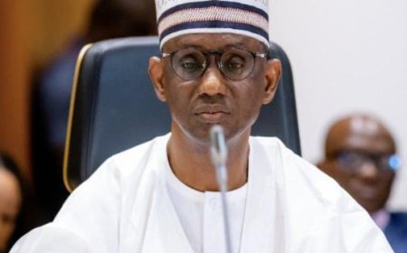 Forest guards to be deployed to insecurity hotspots — Ribadu