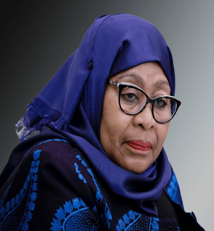 EU Moves to Halt €156 Million in Aid to Tanzania