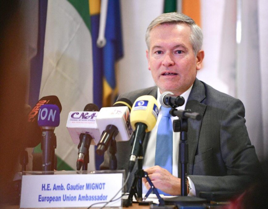 EU Envoy: Nigeria Posts $10bn Trade Surplus With European Union in 2025
