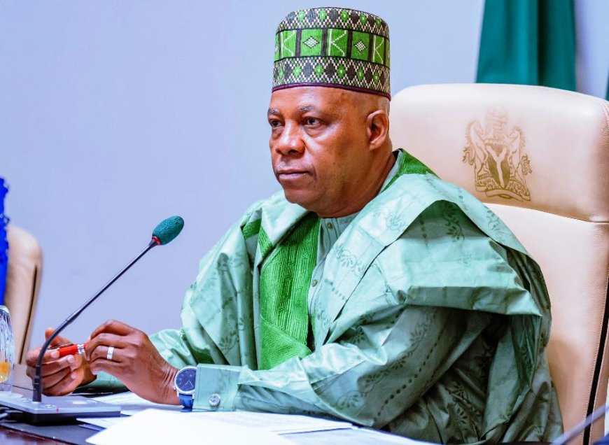 Shettima says If Nigeria Fails, the Entire Black Race Has Failed
