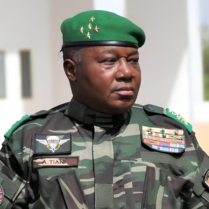 Niger Republic Imposes Total Visa and Entry Ban on U.S. Citizens