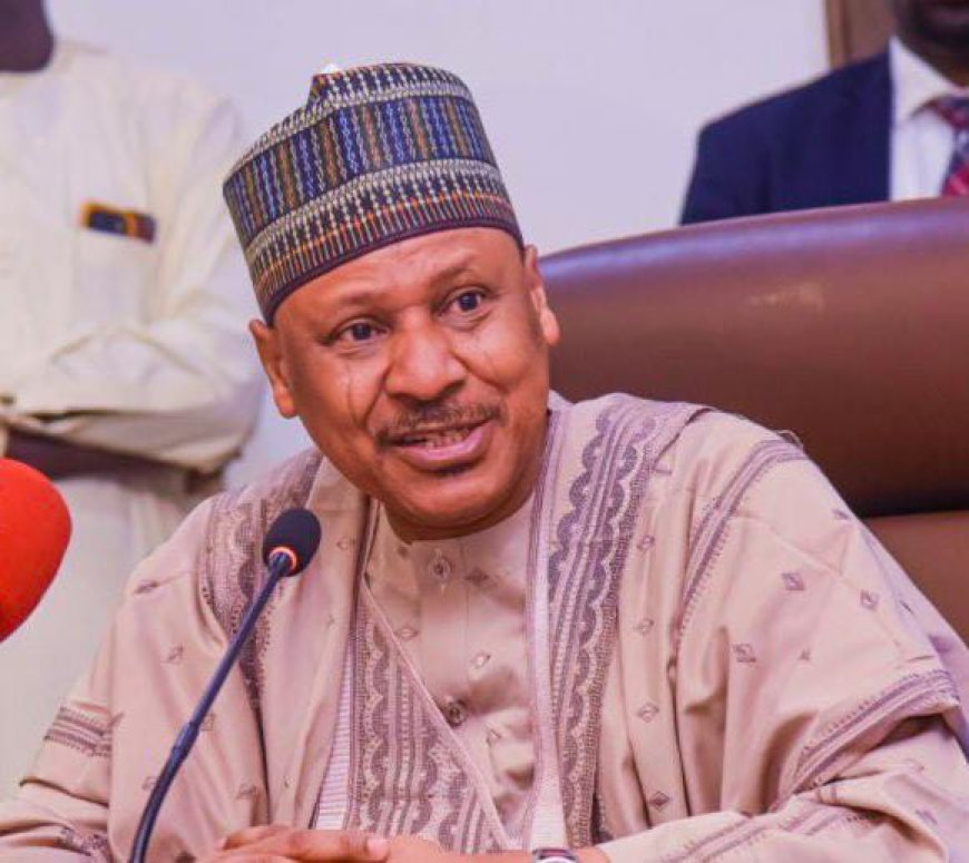 FG Ready to Protect Nigerians From Terrorists, Criminals — Mohammed Idris