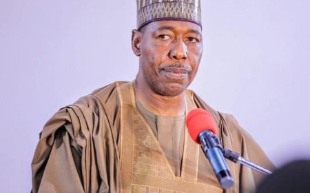 Borno Government Disburses ₦1bn to Boost SMEs in Five LGAs