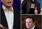 Elon Musk is now reportedly worth over $800 Billion - net worth, following his acquisition of SpaceX’s by xAI, according to Forbes.