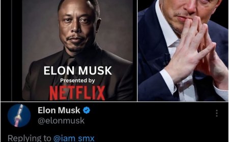 Elon musk wants Netflix to release the movie about him as a Nigerian