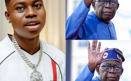 Peller reportedly rejected millions to endorse a political candidate