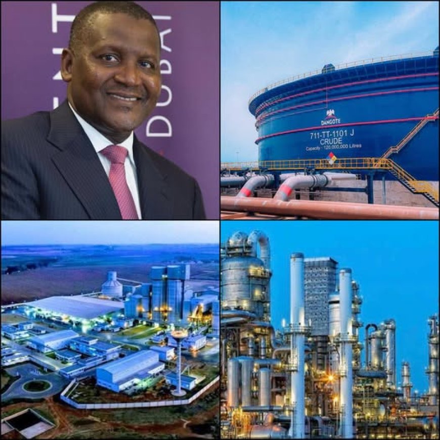 Aliko Dangote speaks about Success and its outcome especially in African families