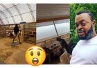 Why Would a Top Nollywood Actor Leave Acting for This?” — Yomi Gold’s US Goat Farm Video Sparks Reactions