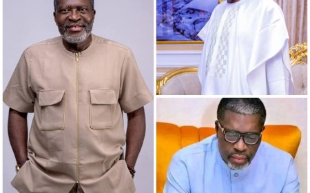 Real success is when your family is healthy in body and mind, not only when school uniforms carry big foreign names and flags.  - Kanayo O. Kanayo