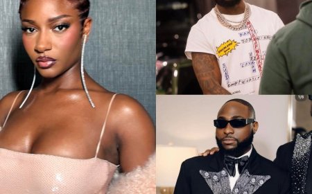 Ayra Starr reveals that Davido and Burna Boy are NOT PART OF HER BIG 3 AFROBEATS ARTISTS.   This came as a shock as she went ahead to say the big 3 according to her are Tiwa Savage , Wizkid and Rema