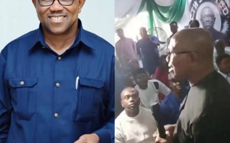 In a statement , Peller's team shared proof that his visit to the Benin Kingdom Palace was officially arranged with palace representatives