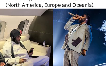 Nigerian singer burnaboy sets another new record